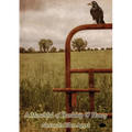 A Mouthful of Hardship & Honey - Paperback