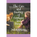 The Care & Feeding of Orphans and Strays - Paperback