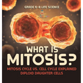 What is Mitosis? Mitosis Cycle vs. Cell Cycle Explained Diploid Daughter Cells Grade 6-8 Life Science - Hardcover