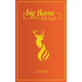 Big Flame and Little Buck - Paperback