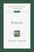 Romans: An Introduction and Commentary - Paperback