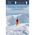 The International CTO Programme: A Blueprint for Technology Strategy, Leadership and Innovation - Hardcover