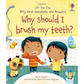 Very First Questions and Answers Why Should I Brush My Teeth? - Board Book