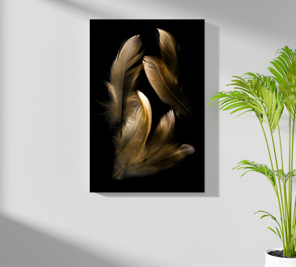 Bronze Feather Aluminum Print