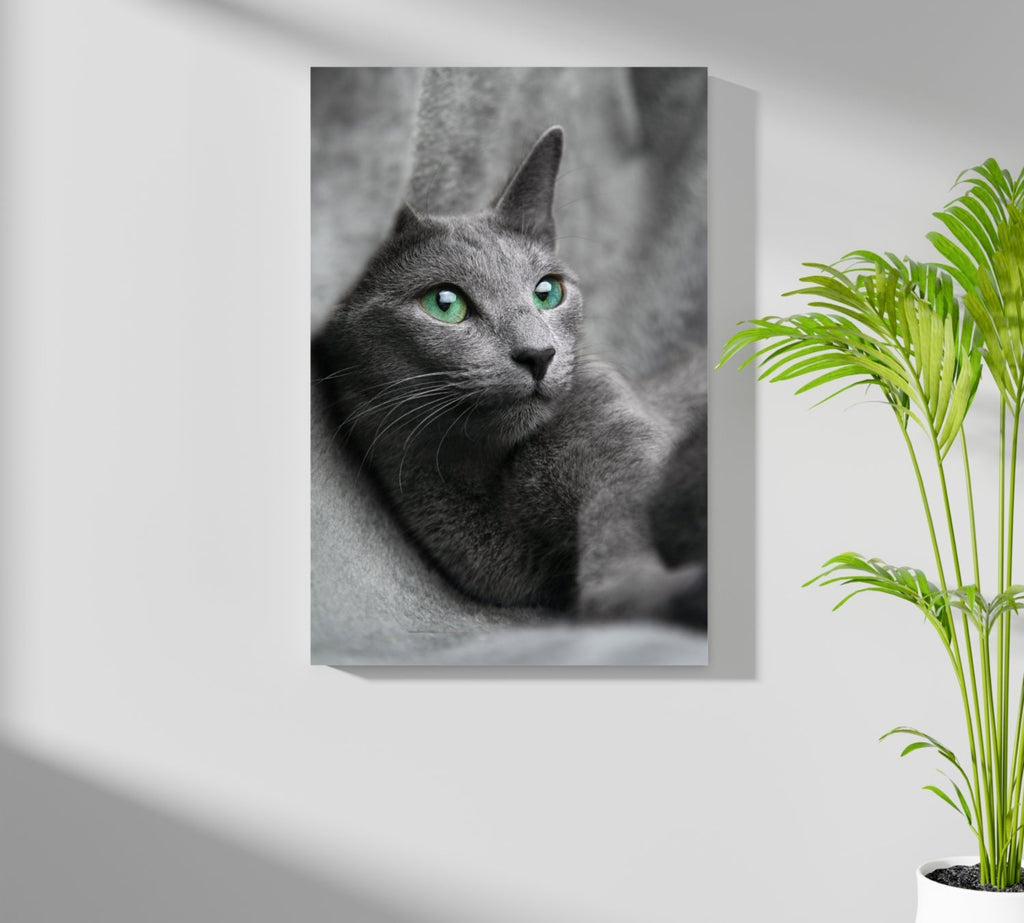 Cat Aluminum Print