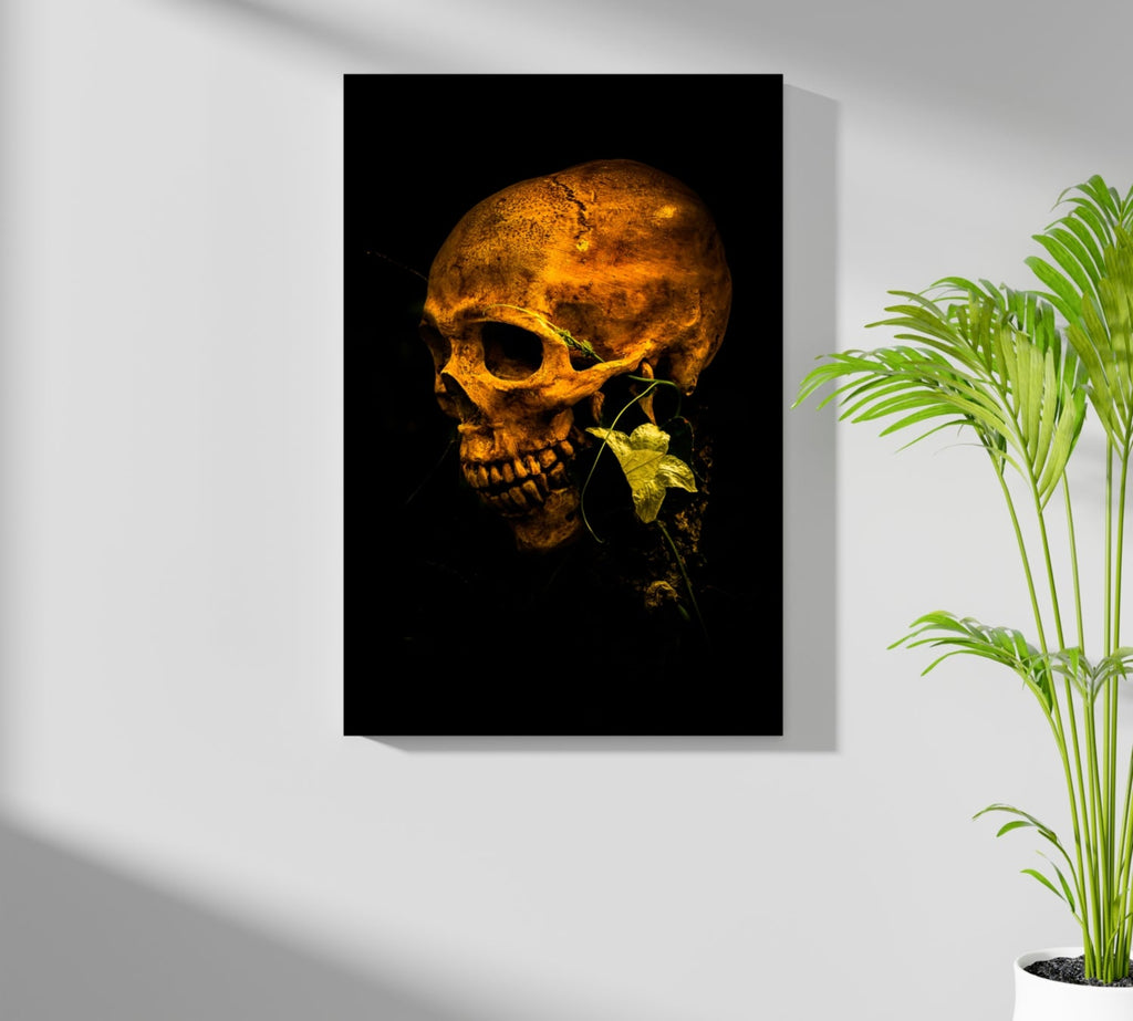 Skull Aluminum Print