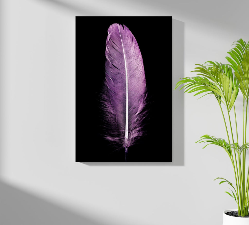 Purple Feather Aluminum Print