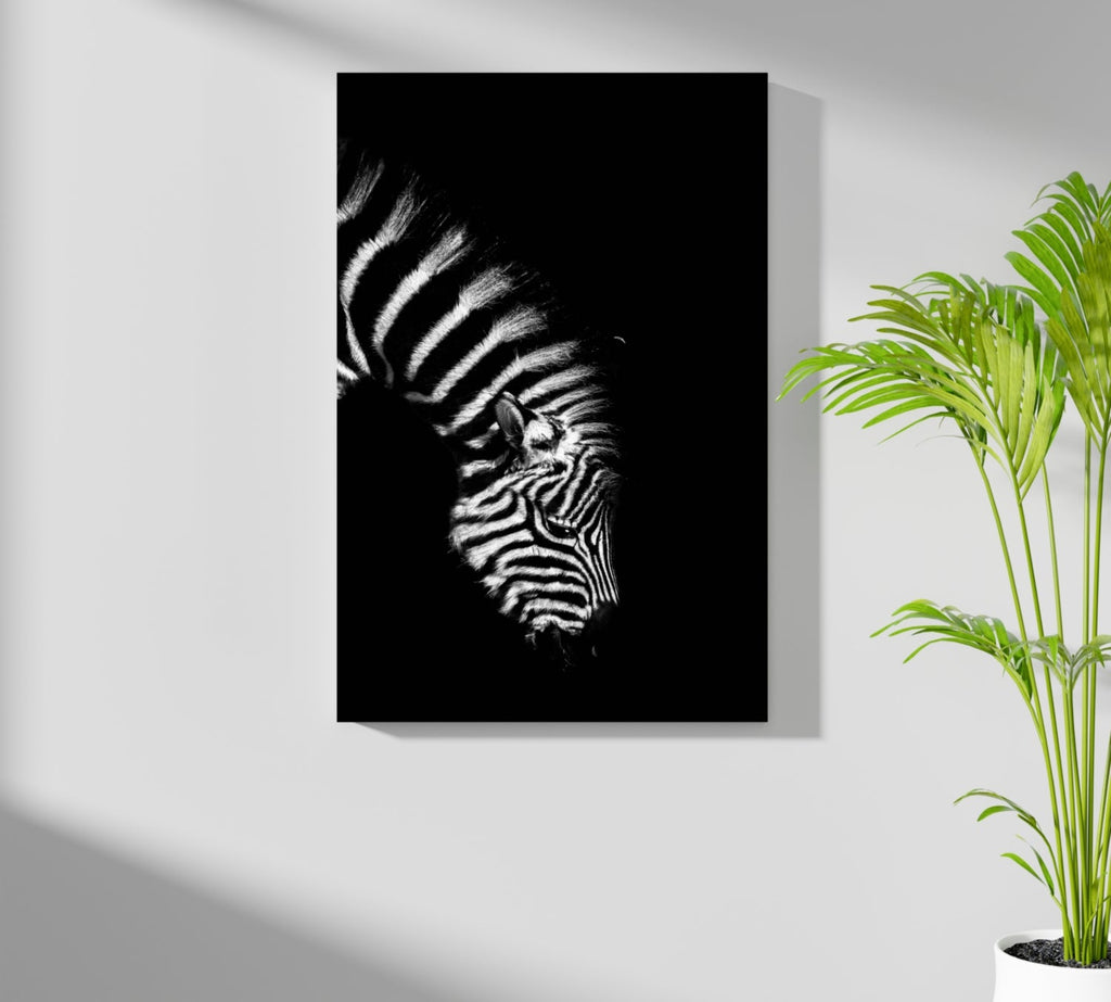 Zebra Aluminum Print