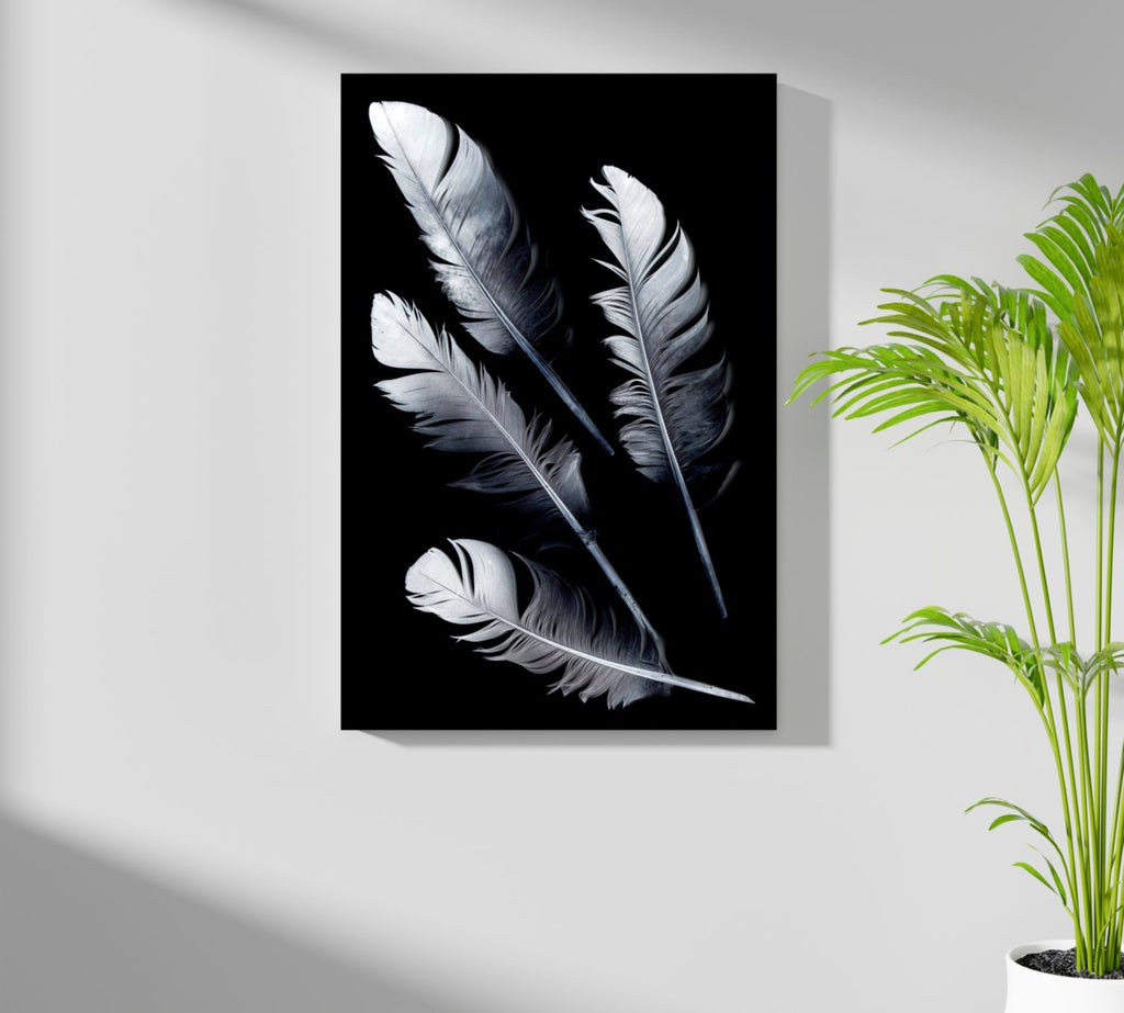 Feathers Aluminum Print