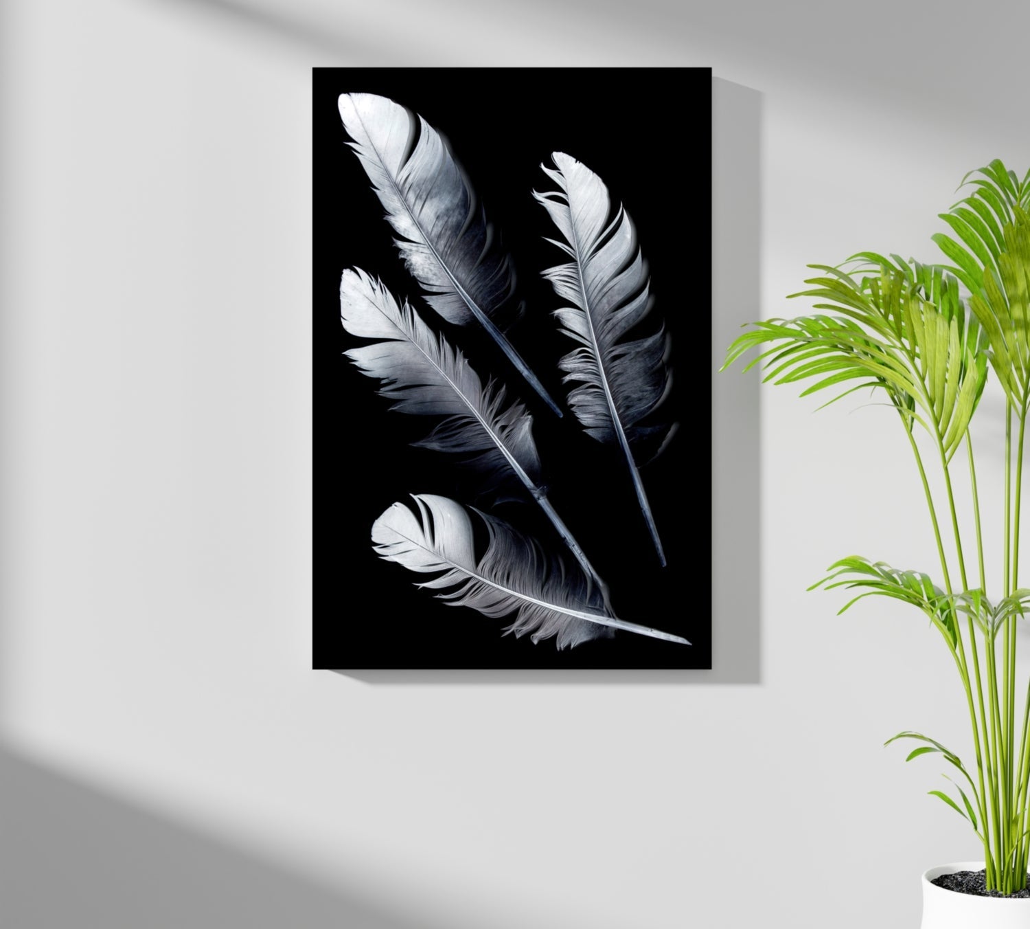 Feathers Aluminum Print