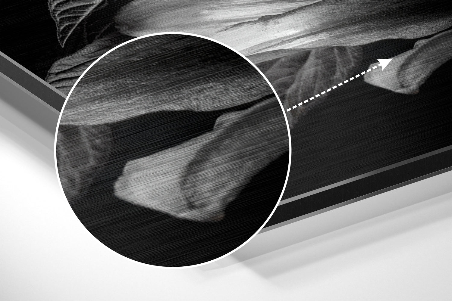 Lillium Brushed Aluminium Dibond Wall Art