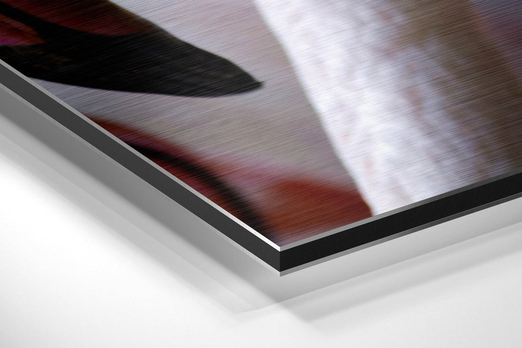 Flamingos Brushed Aluminium Dibond Wall Art