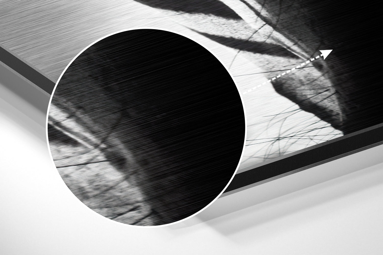 Zebra Brushed Aluminium Dibond Wall Art