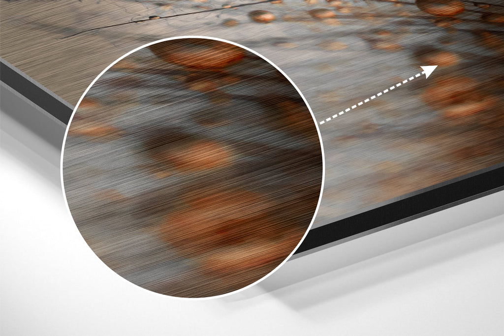 Dandelions Brushed Aluminium Dibond Wall Art