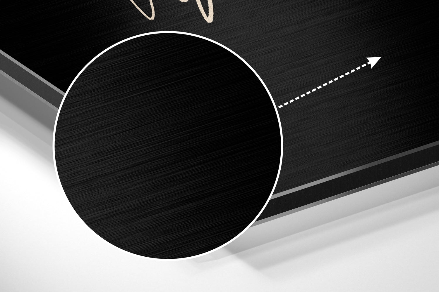 Acorn Brushed Aluminium Dibond Wall Art