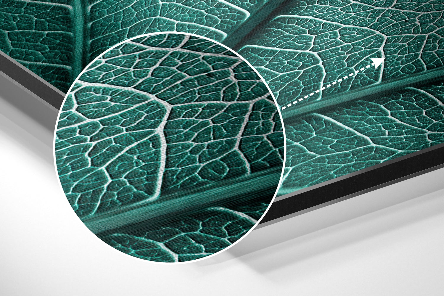 Leaf Brushed Aluminium Dibond Wall Art