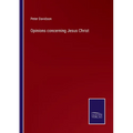 Opinions concerning Jesus Christ - Paperback