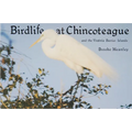 Birdlife at Chincoteague and the Virginia Barrier Islands - Paperback