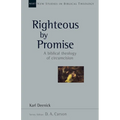 Righteous by Promise: A Biblical Theology of Circumcision - Paperback