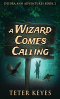A Wizard Comes Calling - Hardcover