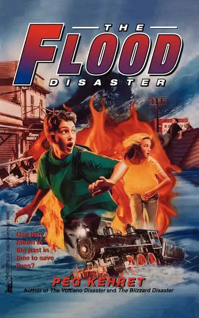 The Flood Disaster - Paperback