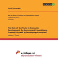 The Role of the State in Economic Development. Do Government Expenditures Promote Growth in Developing Countries? - Paperback
