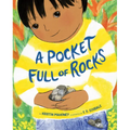 A Pocket Full of Rocks - Hardcover