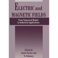 Electric and Magnetic Fields: From Numerical Models to Industrial Applications - Paperback