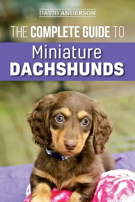The Complete Guide to Miniature Dachshunds: A step-by-step guide to successfully raising your new Miniature Dachshund - Paperback