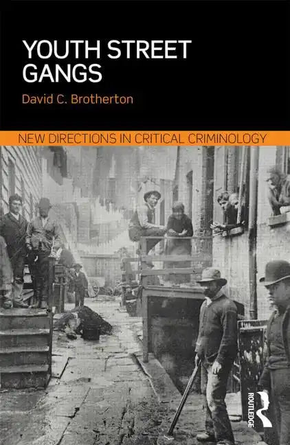 Youth Street Gangs: A critical appraisal - Paperback