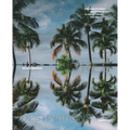 Palm Tree Destinations - Hardcover
