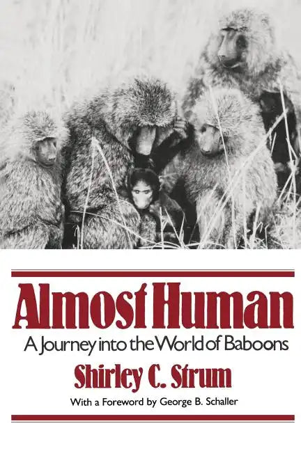Almost Human: A Journey Into the World of Baboons - Paperback