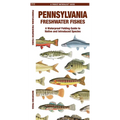 Pennsylvania Freshwater Fishes
