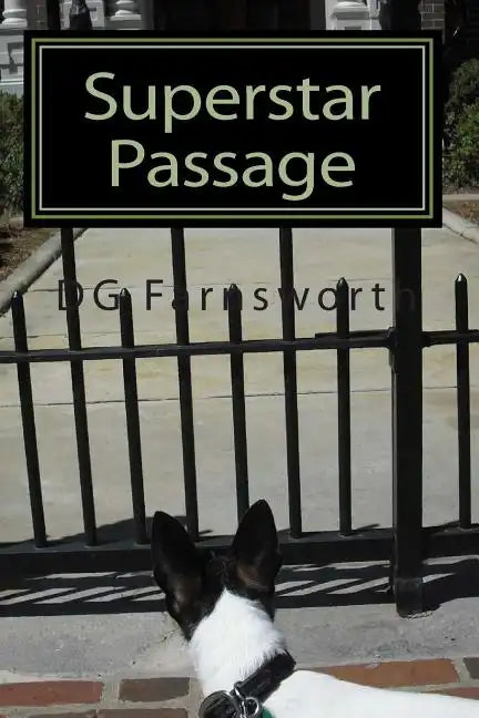 Superstar Passage: The Reincarnation of Karen Carpenter - Paperback