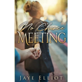 No Chance Meeting - Paperback