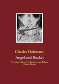 Angel and Rocket: Pynchon's Gravity's Rainbow and the Duino Elegies - Paperback