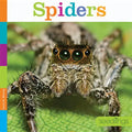 Spiders - Paperback