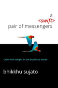 A Swift Pair of Messengers - Paperback