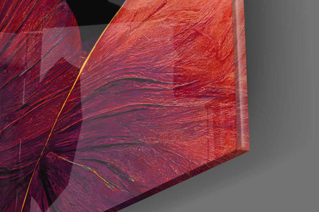 Curves Glass Art  || Designers Collection