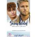 Snowblind: A Friends to Lovers Gay Romance - Paperback