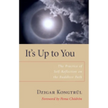It's Up to You: The Practice of Self-Reflection on the Buddhist Path - Paperback