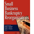 Small Business Bankruptcy Reorganizations - Paperback