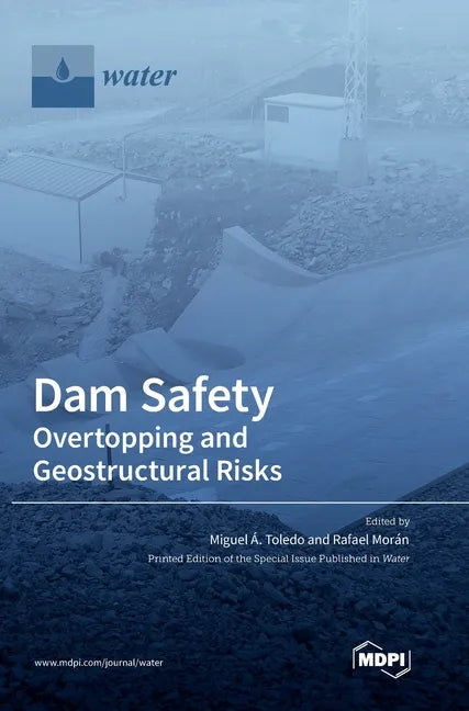 Dam Safety.: Overtopping and Geostructural Risks - Hardcover