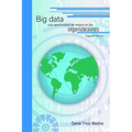 Big data, una oportunidad de mejora en las organizaciones - Paperback