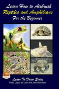 Learn How to Airbrush Reptiles and Amphibians For the Beginners - Paperback