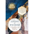 Living in Wonder: Finding Mystery and Meaning in a Secular Age - Hardcover