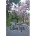 Cuentos de la Pobre Piqui - Paperback