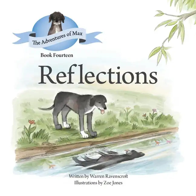 Reflections - Paperback