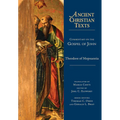 Commentary on the Gospel of John - Hardcover