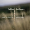 Walking the Changes - Paperback